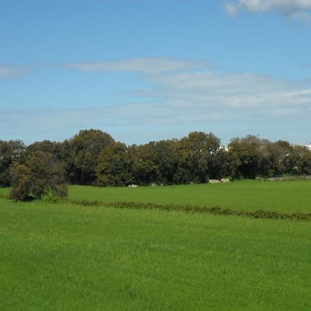 Masseria Gattamora Уджано ла Киеза Екстериор снимка